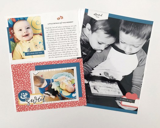 SahinDesigns_BerryMuchCollection_LynneAshcraft01